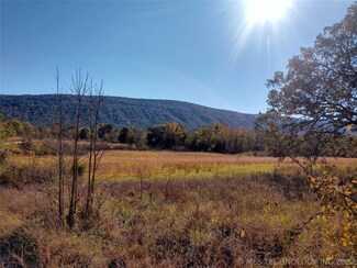 16 Buddy Reamy, Albion, OK 74521