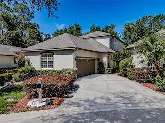 5224 Fairway One Dr, Valrico, FL 33596