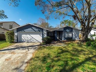 15716 Country Lake Dr, Tampa, FL 33624