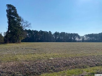 4.5 Acs Grainger Rd Unit Lot B, Nichols, SC 29581