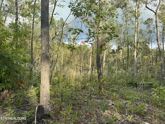 0 Valley View Rd Unit 1316786, Crossville, TN 38572