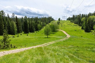 256.87 Acres White Forest Rd Unit & Yellow Creek Road, South Lawrence, SD 57754