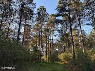 0 Old Jackson Rd, Forest, MS 39074