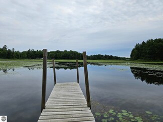 VL E State Rd, Logan Township, MI 48739