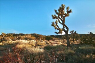 0 Mountain View Trail Unit JT20027189, Yucca Valley, CA 92284