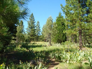 288 Arrowleaf Rd, Beckwourth, CA 96122