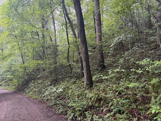 Lot 19 Cedar Hill Rd, Franklin, NC 28734