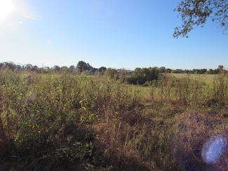 LOT 4 An County Road 2502, Tennessee Colony, TX 75861