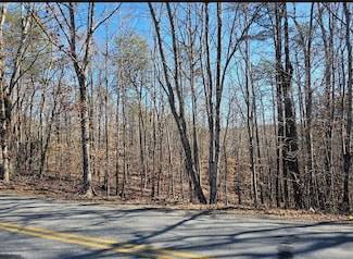 Tract 4-B Red Oak Rd, Horse Pasture, VA 24112