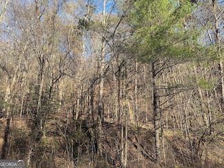 0 Whitepath Rd Unit 10642597, Ellijay, GA 30540