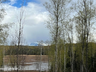 8919 W Cormorant Way, Knik-Fairview, AK 99654