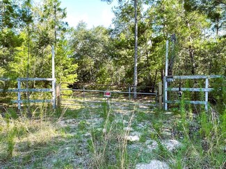 6474 Golden Oak Ln, Keystone Heights, FL 32656