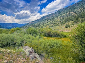 70 N Alder Creek Ln, South Fork, CO 81154