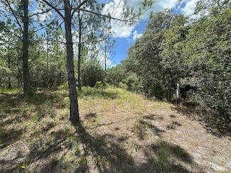 796 Fisher Rd, Ocklawaha, FL 32179