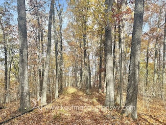 0 W Virginia 47, Coxs Mills, WV 26342