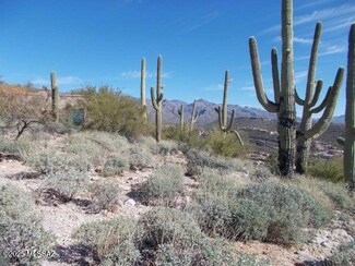 4130 N Painted Quail Place Unit 80, Catalina Foothills, AZ 85750
