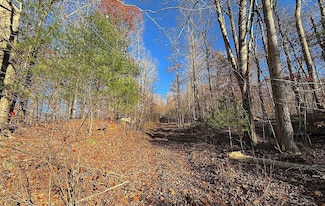 0 Carrs Run Rd Unit C-56, Waverly, OH 45690