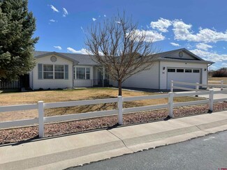 534 Peach Ln, Delta, CO 81416