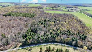 2788 Williamson Rd, Greenwood, NY 14839