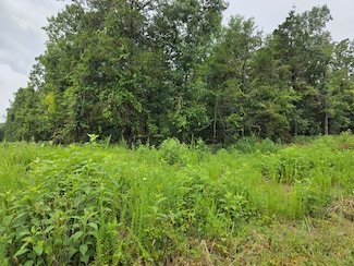 Lot 261 Saratoga Elm, Shell Knob, MO 65747