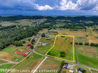 3750 Sinking Creek Rd, Greenback, TN 37742