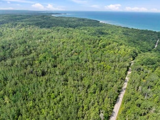 TBD W Lakeview Rd, Levering, MI 49755