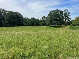 TBD Highway 166 S, Pocahontas, AR 72455