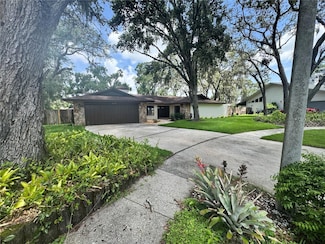 2102 Doefield Ct, Valrico, FL 33596