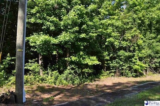 TBD Lots 1-7 Bundy St, Clio, SC 29525