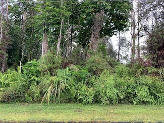0 S Lai St Unit 717712, Pahoa, HI 96778
