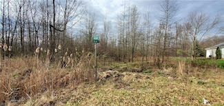154 W Nevada Ave Unit 154, Sebring, OH 44672