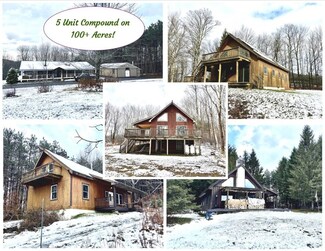 175 Hovick Rd, Hartwick, NY 13348