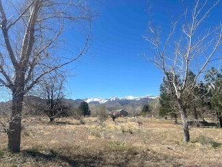 1263 Eastside Ln Unit 27, Coleville, CA 96107