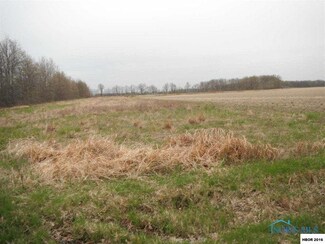 0 Township Highway 58, Upper Sandsky, OH 43351