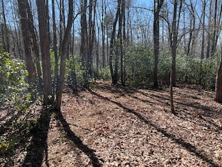 Lot 16 Cliff Park Rd, Monterey, TN 38574