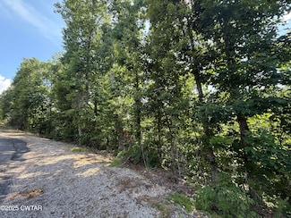 0 Ridgeway Dr Unit 2502503, Sugar Tree, TN 38380