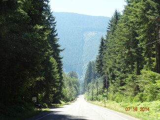 56204 Kernahan Rd E, Ashford, WA 98304
