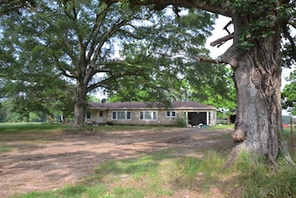 1423 Arkansas 29, Lewisville, AR 71845