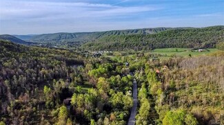 6781 Poverty Hill Rd, Ellicottville, NY 14731