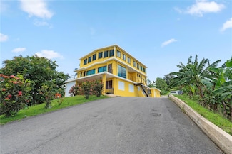 Bo. Hoyos Planes Carr 531 Km Hm7, Jayuya, PR 00664