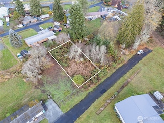 1 Roosevelt St, Mineral, WA 98355