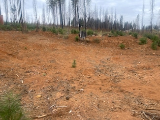 5187 Evergreen, Grizzly Flats, CA 95636