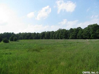 0 Tracy Rd Unit S357748, Coventry, NY 13730