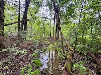 Abe Ln Unit LotWP001, Lancing, TN 37770