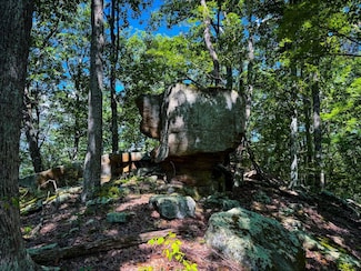 0 Walnut Fork Rd Unit Lot WP001, Alum Bridge, WV 26321