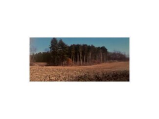40 Acres Kilbourne, Kilbourne, IL 62655