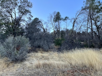 Lot 10 Skyview Ct, Browns Valley, CA 95918