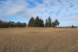 0000 Neck Yoke Rd Unit TBD Neck Yoke Rd, Rapid City, SD 57702