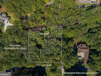 0 Plum Ln Unit 10622770, Clarkesville, GA 30523