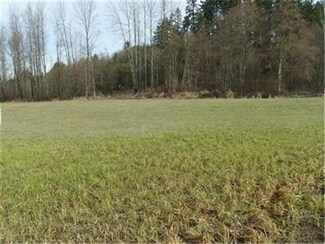 0 Ray Rd, Toledo, WA 98591